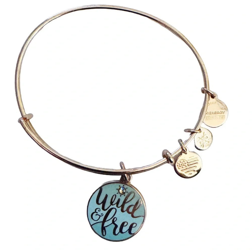 Alex and Ani Wild and Free Bangle Bracelet - Picture 2 of 3